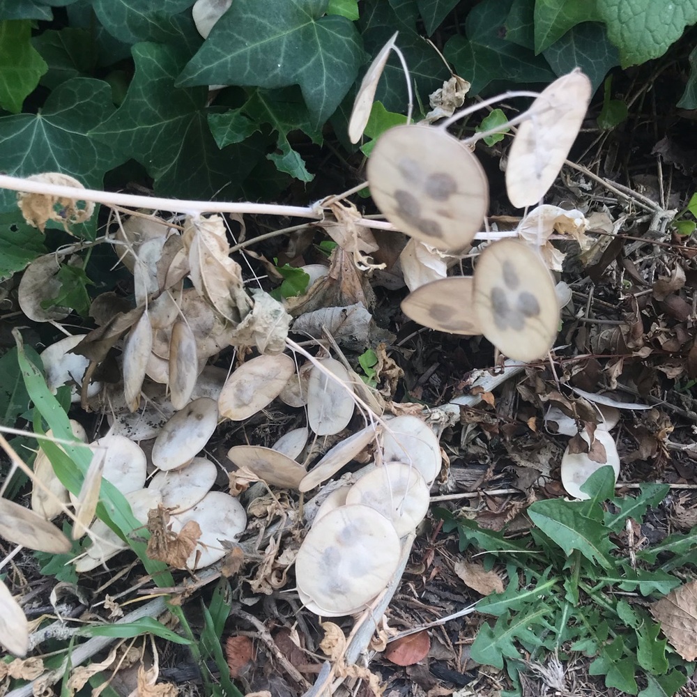 Meet your Posher, Ste